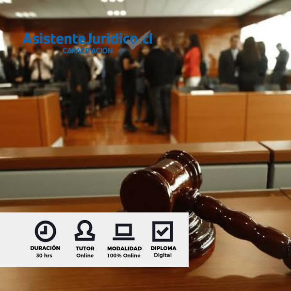 Curso Comprensión y Funcionamiento del Juzgado de Policía Local